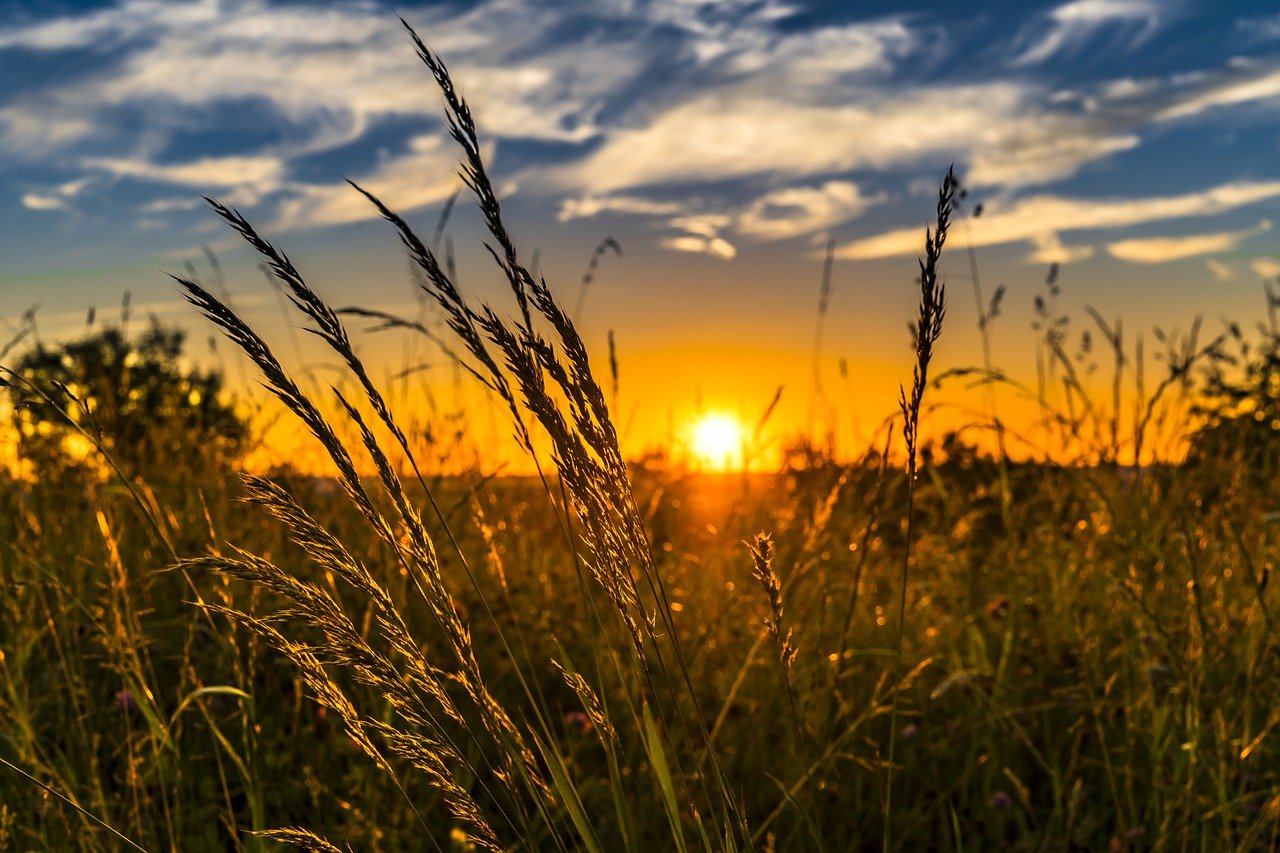 Maak je tuin klaar voor de zomer!